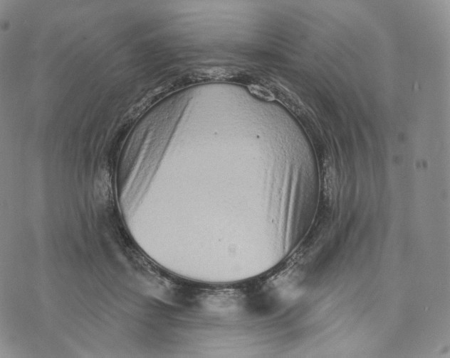 X0000076320459200610161648