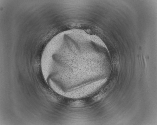 X0000076320460200610161648