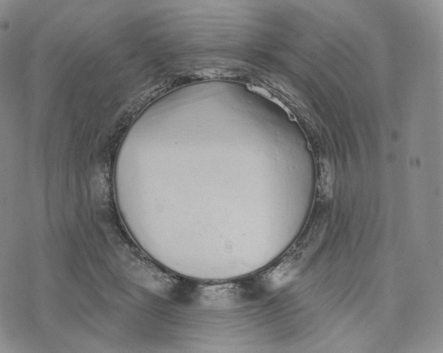 X0000076320461200610161648