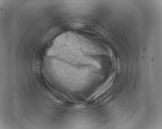 X0000076320462200610161648