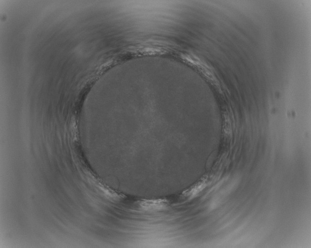 X0000076320465200610161648