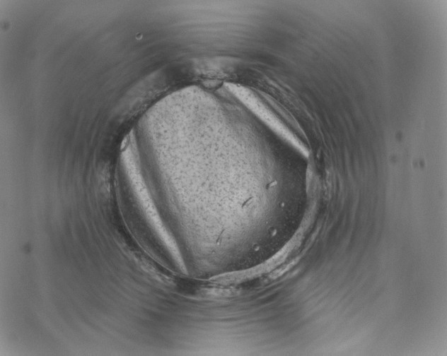 X0000076320466200610161648