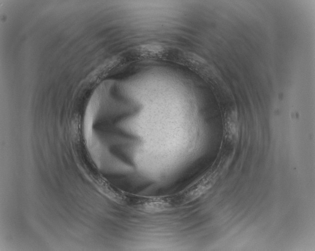 X0000076320468200610161648