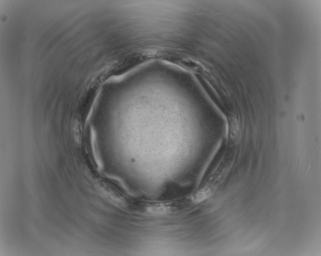 X0000076320470200610161648