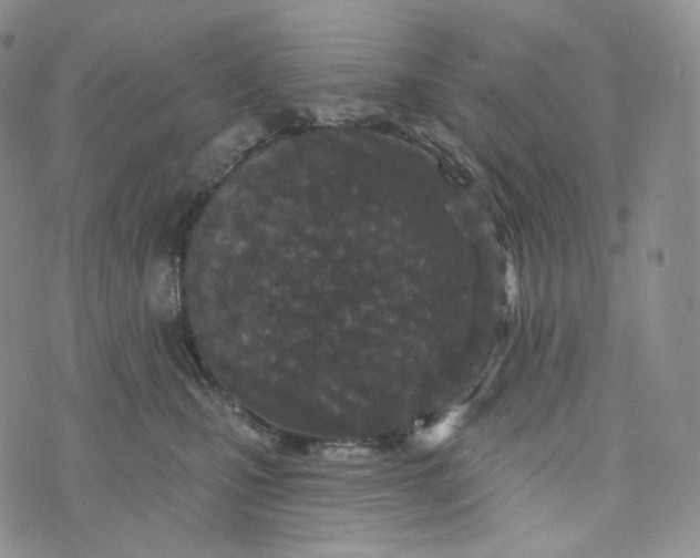 X0000076320471200610161648