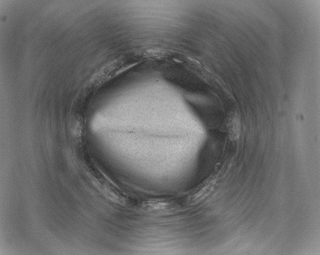 X0000076320472200610161648