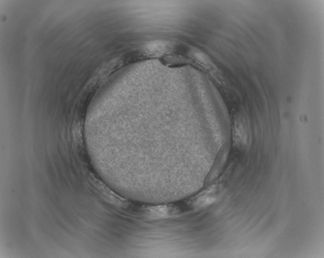 X0000076320473200610161648