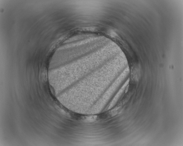 X0000076320474200610161648