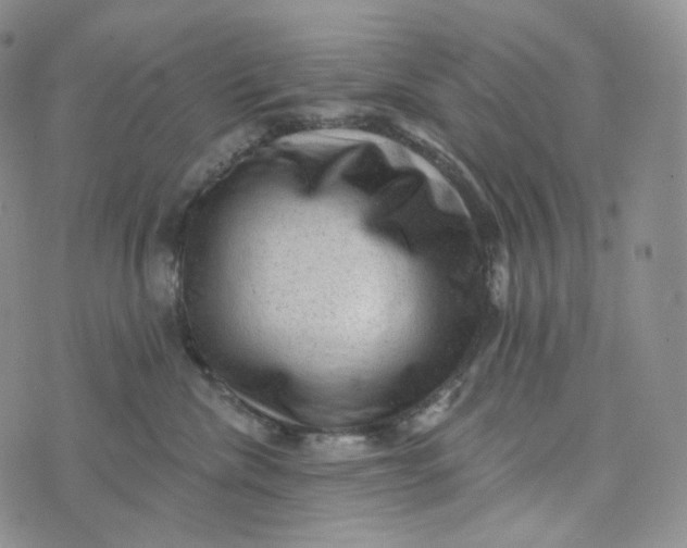 X0000076320476200610161648