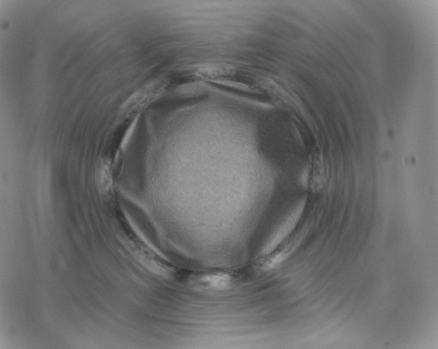 X0000076320478200610161648