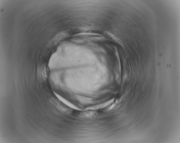 X0000076320479200610161648