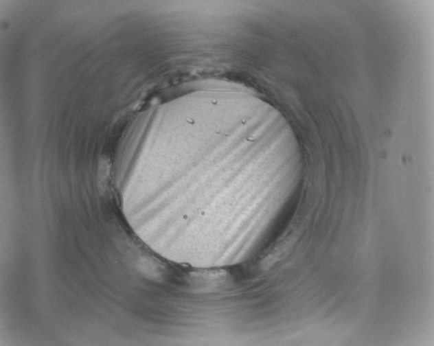 X0000076320480200610161648