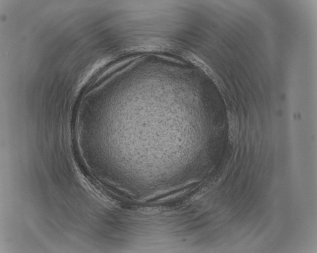 X0000076320482200610161647