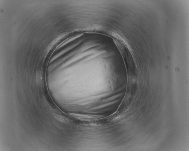 X0000076320483200610161647