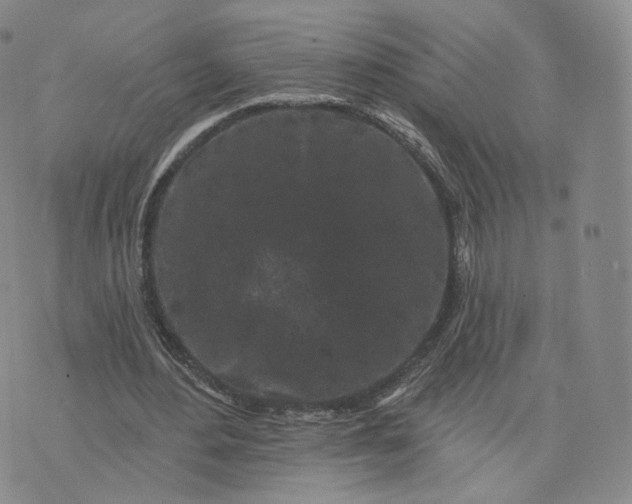 X0000076320484200610161647