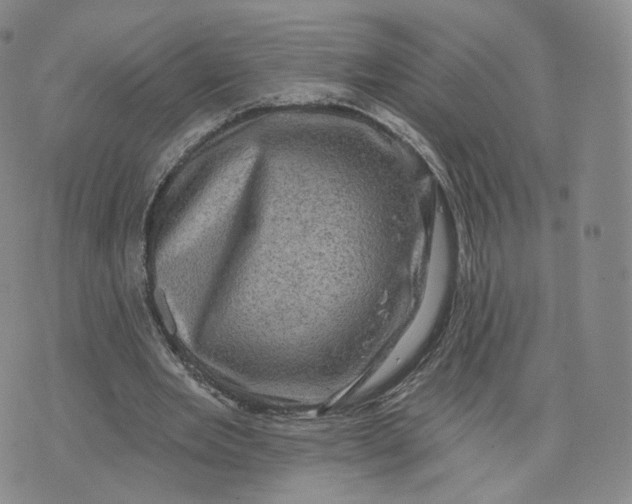 X0000076320485200610161647