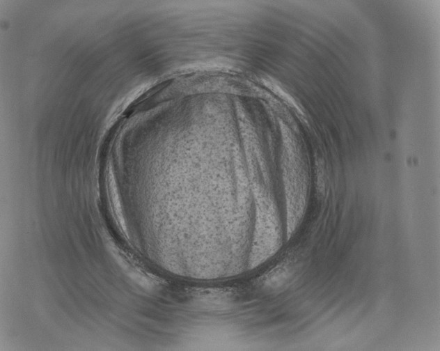 X0000076320486200610161647