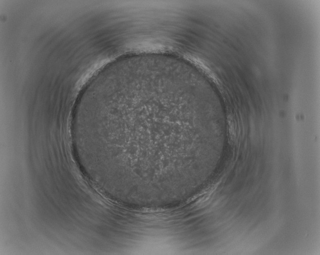 X0000076320487200610161647