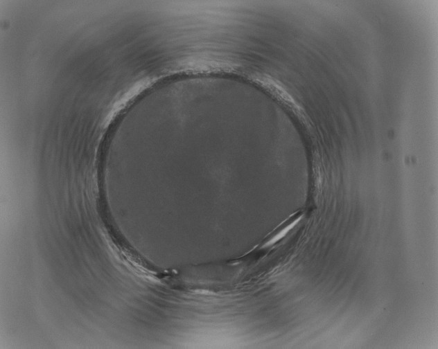 X0000076320488200610161647