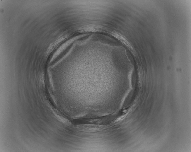 X0000076320489200610161647