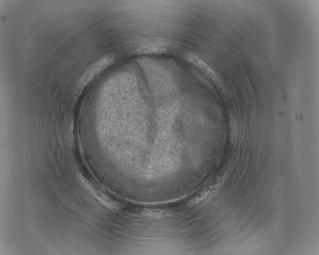 X0000076320490200610161647