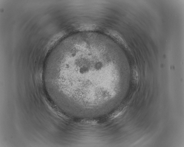 X0000076320491200610161647