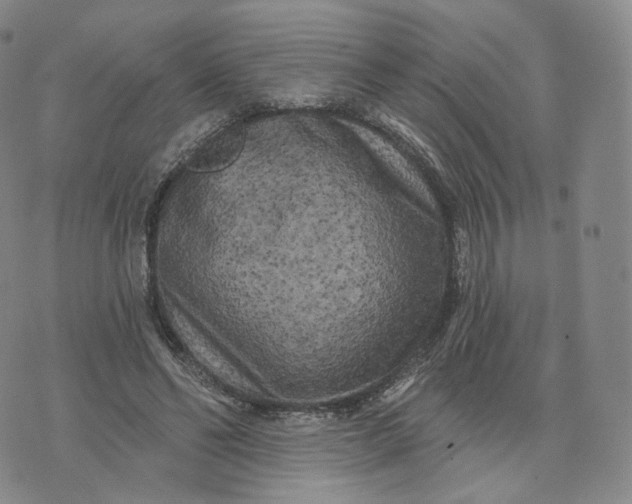 X0000076320494200610161647