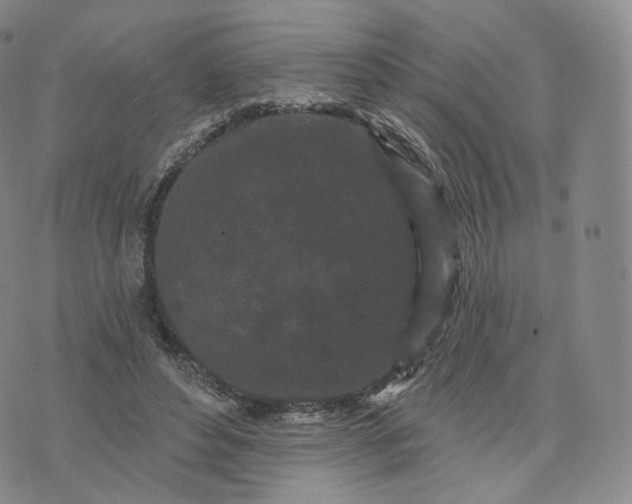 X0000076320496200610161647