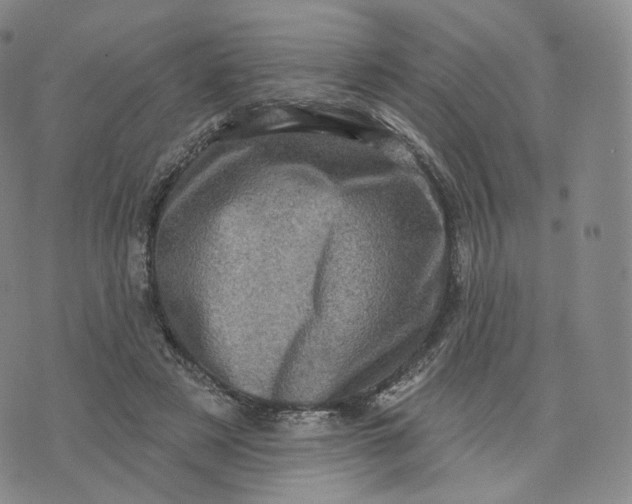 X0000076320497200610161647