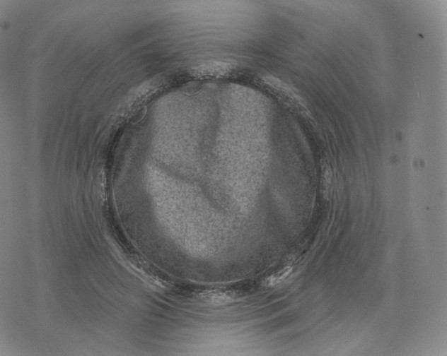 X0000076320498200610161647