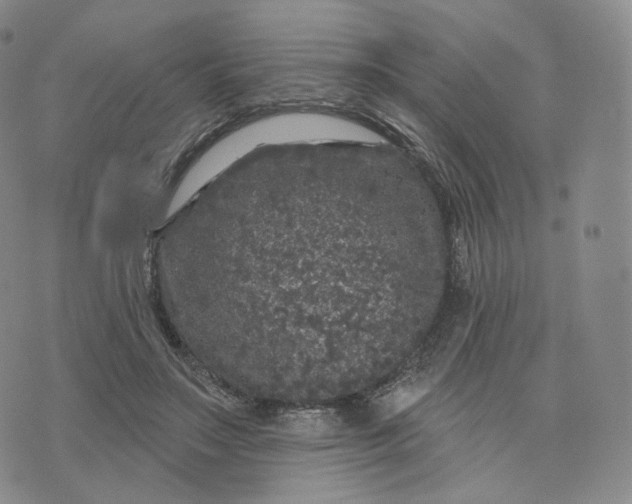 X0000076320499200610161647