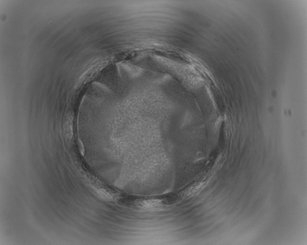 X0000076320501200610161647