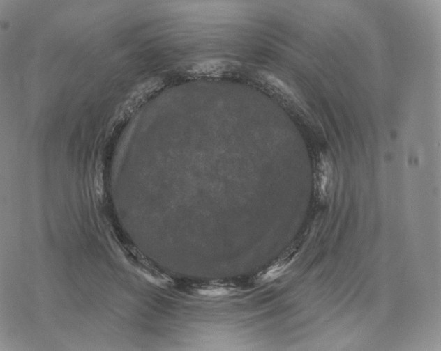 X0000076320504200610161647