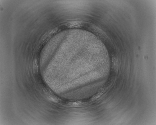 X0000076320506200610161647