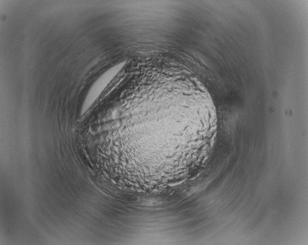 X0000076320507200610161647