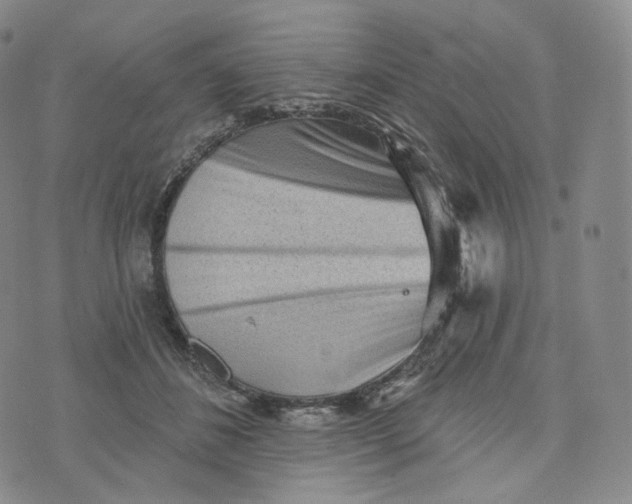 X0000076320508200610161647