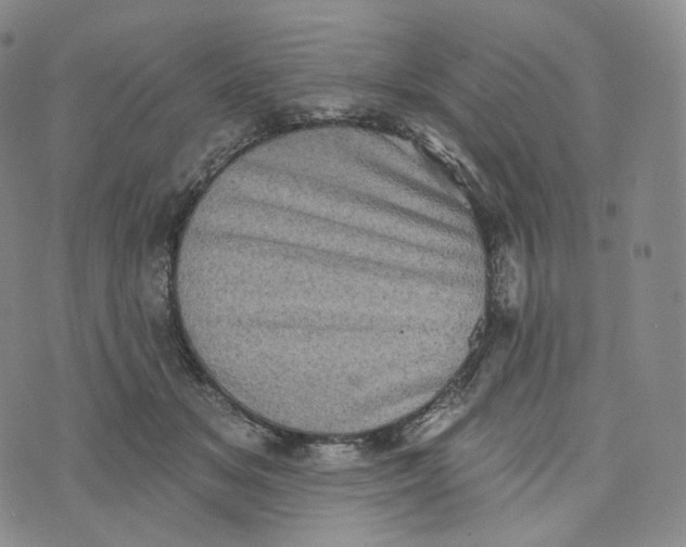 X0000076320509200610161647