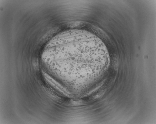 X0000076320510200610161647