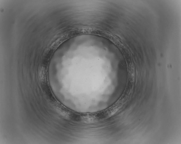 X0000076320511200610161647