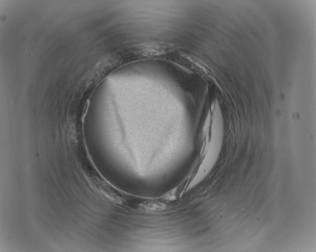 X0000076320512200610161647