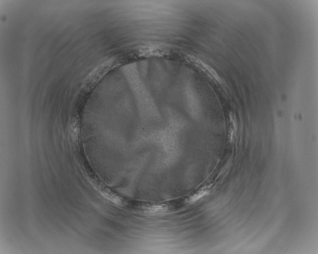 X0000076320513200610161647