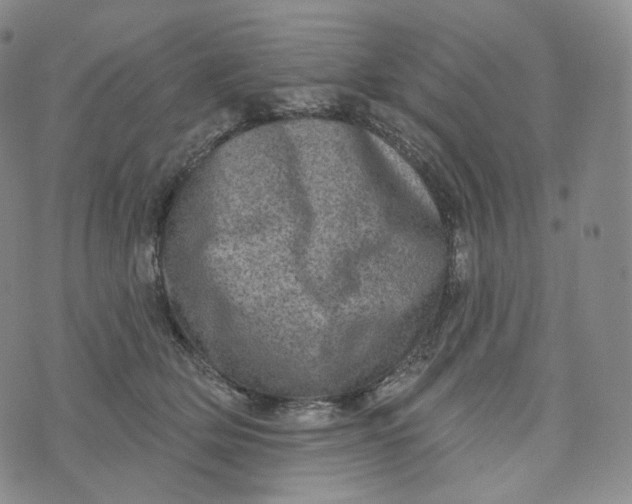 X0000076320514200610161647