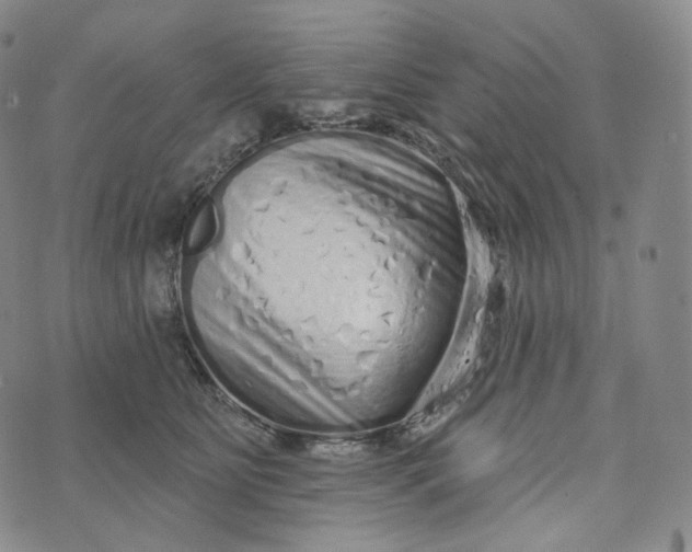 X0000076320515200610161647