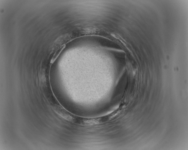 X0000076320516200610161647