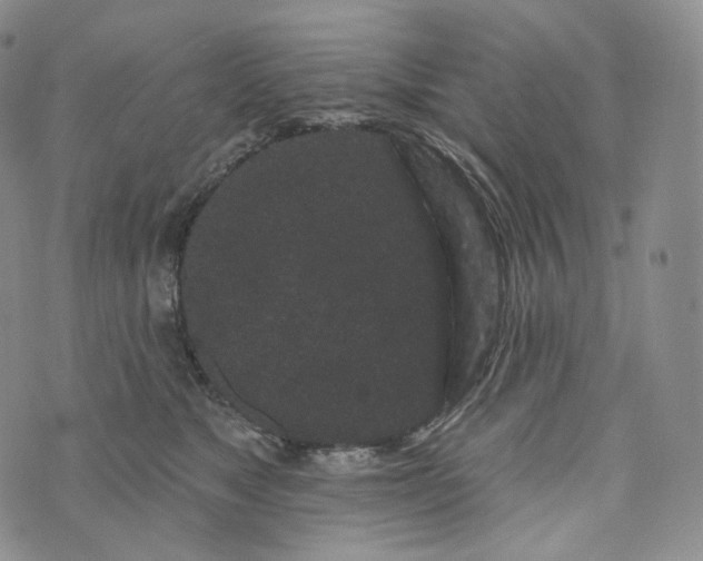 X0000076320517200610161647