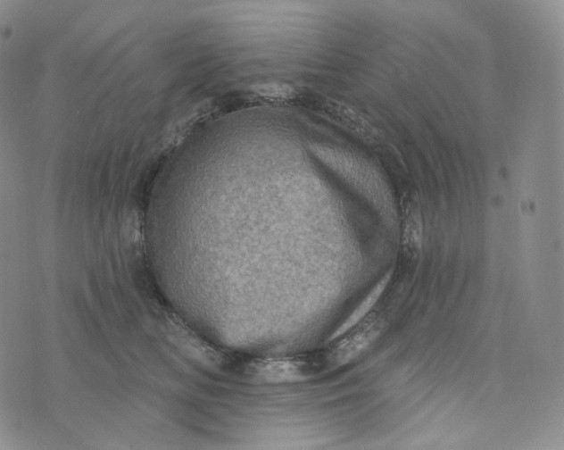 X0000076320518200610161647