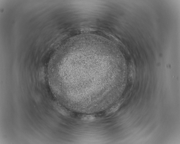 X0000076320519200610161647