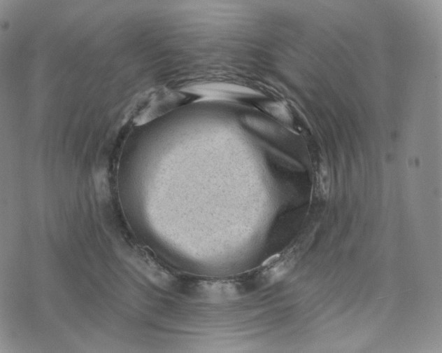 X0000076320520200610161647