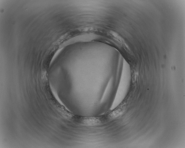 X0000076320521200610161647