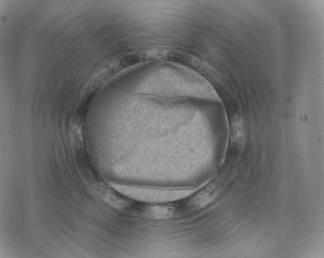 X0000076320522200610161647